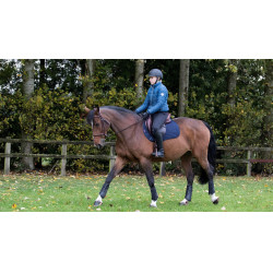 Tapete LeMieux GP Square Algodão Azul-marinho