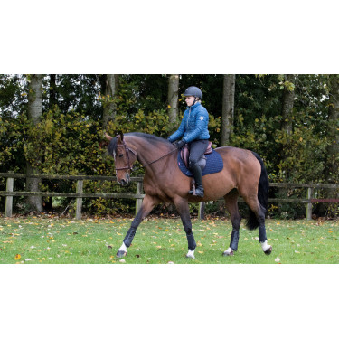 Tapete LeMieux GP Square Algodão Azul-marinho