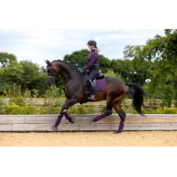 Tapete LeMieux Suede Dressage Square Figue Violeta