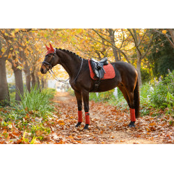 Tapete LeMieux Suede Dressage Square