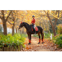 Tapete LeMieux Suede Dressage Square Sienna Vermelho Tapete LeMieux Suede Dressage Square Sienna Vermelho