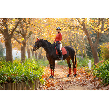 Tapete LeMieux Suede Dressage Square Tapete LeMieux Suede Dressage Square
