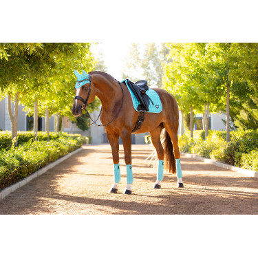 Tapete LeMieux Loire Classic Dressage Square