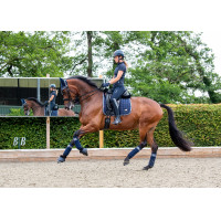 Tapete LeMieux Loire Classic Dressage Square Crepúsculo marinho