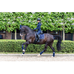 Tapete LeMieux Loire Classic Dressage Square Crepúsculo marinho Azul