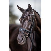 Bridão de adestramento Classic LeMieux Preto