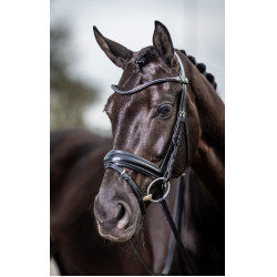 Bridão de adestramento Classic LeMieux Preto