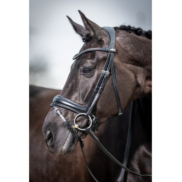 Bridão de adestramento Classic LeMieux Preto
