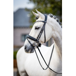 Bridão de adestramento Classic LeMieux Preto