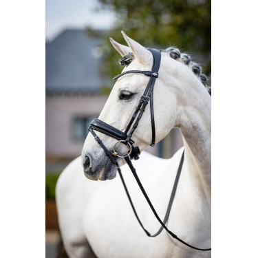 Bridão de adestramento Classic LeMieux Preto
