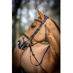 Bridão de trabalho LeMieux Castanho