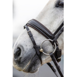 Bridão de adestramento Classic LeMieux Castanho Bridão de adestramento Classic LeMieux Castanho