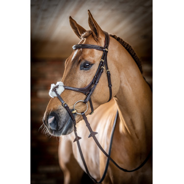 Bridon LeMieux Grackle Havana Castanho