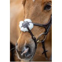 Bridon LeMieux Grackle Havana Castanho