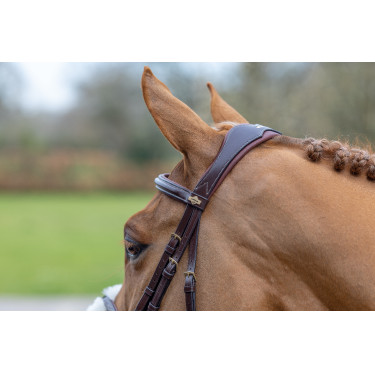 Bridon LeMieux Grackle Havana Castanho