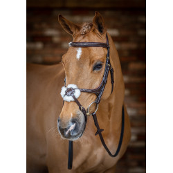 Bridon LeMieux Grackle Havana Castanho