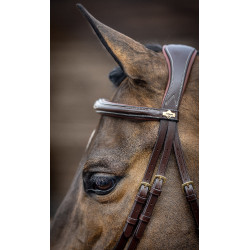 Bridão combinado LeMieux Competition Havana Castanho