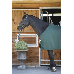 Camisa Paddock Sports Apresentação Verde Camisa Paddock Sports Apresentação Verde