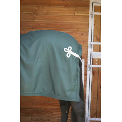 Camisa Paddock Sports Apresentação Verde Camisa Paddock Sports Apresentação Verde