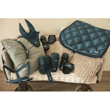 Guérréias e protetores de boleto Lami-Cell Aurora Azul