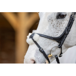 Bridon LeMieux Grackle Preto Bridon LeMieux Grackle Preto