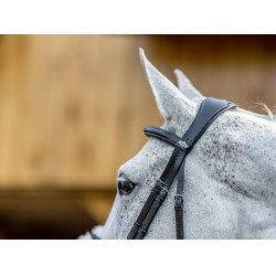 Bridon LeMieux Grackle Preto Bridon LeMieux Grackle Preto