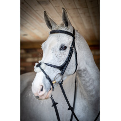 Bridon LeMieux Grackle Preto Bridon LeMieux Grackle Preto