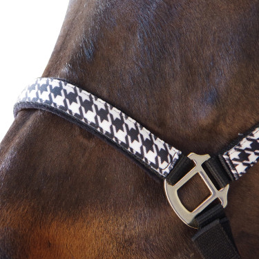Conjunto cabresto + guia Pied de poule Canter Conjunto cabresto + guia Pied de poule Canter