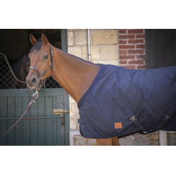 Camisa Paddock Sports Algodão Mesh Camisa Paddock Sports Algodão Mesh