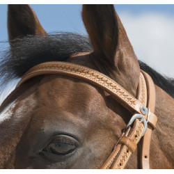 Bridon Westride por Franck Perret Aurora Bridon Westride por Franck Perret Aurora