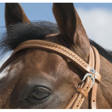 Bridon Westride por Franck Perret Aurora Bridon Westride por Franck Perret Aurora