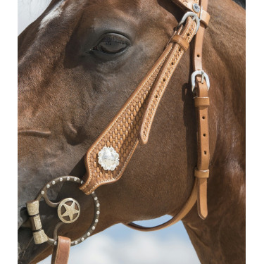 Bridon Westride por Franck Perret Aurora Bridon Westride por Franck Perret Aurora