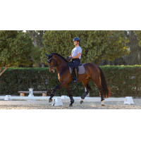 Tapete de adestramento LeMieux Le Cool Grip Cinzento