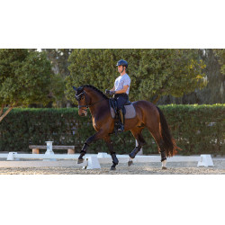 Tapete de adestramento LeMieux Le Cool Grip Cinzento