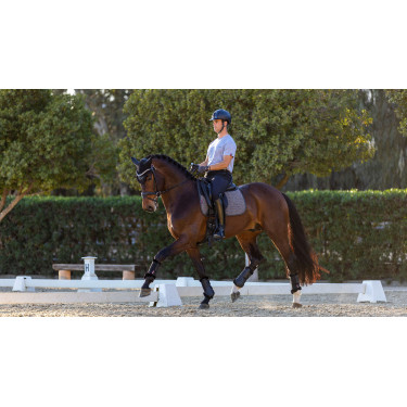 Tapete de adestramento LeMieux Le Cool Grip Cinzento