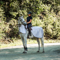 Capa anti-insetos para equitação Eira com pescoço removível Horze Cinzento Capa anti-insetos para equitação Eira com pescoço removível Horze Cinzento