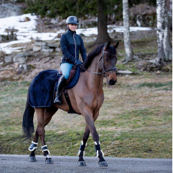 Cobre-rins Kingsley Horze Azul-marinho escuro Cobre-rins Kingsley Horze Azul-marinho escuro