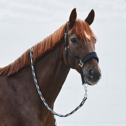 Cabeçada Kiel com acolchoamento em lã polar Horze Preto