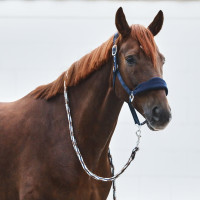 Cabeçada Kiel com acolchoamento em lã polar Horze Azul-marinho escuro
