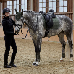 Polainas Adepto Horze Verde cáqui escaravelho