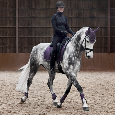 Polainas Adepto Horze Cassis Violeta