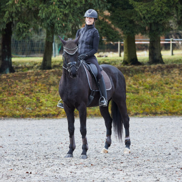 Polainas Adepto Horze Castanho escuro Polainas Adepto Horze Castanho escuro