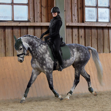 Protetor de boleto Adepto Horze Verde cáqui escaravelho Protetor de boleto Adepto Horze Verde cáqui escaravelho