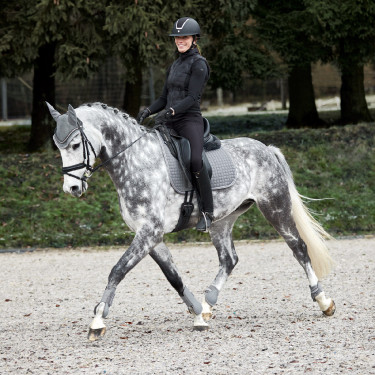 Protetor de boleto Adepto Horze Cinza aço Cinzento Protetor de boleto Adepto Horze Cinza aço Cinzento