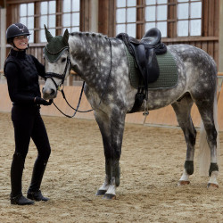 Zadeldek veelzijdig Adepto Horze Verde cáqui escaravelho Zadeldek veelzijdig Adepto Horze Verde cáqui escaravelho