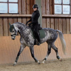 Zadeldek veelzijdig Adepto Horze Verde cáqui escaravelho Zadeldek veelzijdig Adepto Horze Verde cáqui escaravelho