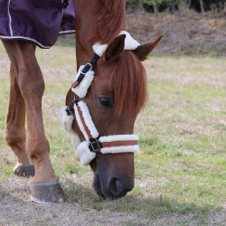 Caveção Pénélope Soft Preto / bege Caveção Pénélope Soft Preto / bege