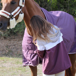 Blusão Pénélope Celecce Ameixa Violeta