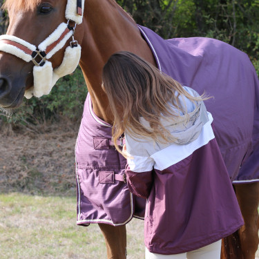 Blusão Pénélope Celecce Ameixa Violeta