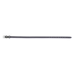 Correias de esporas Norton Glitter Correias de esporas Norton Glitter
